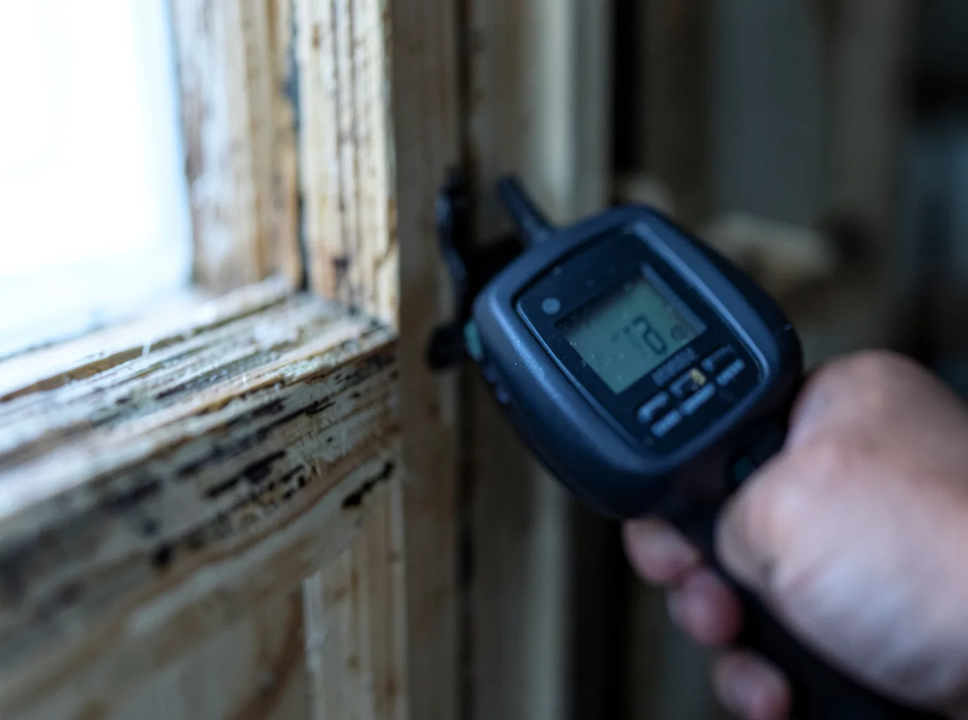 Moisture Inspection And Documentation in Vernon, IL